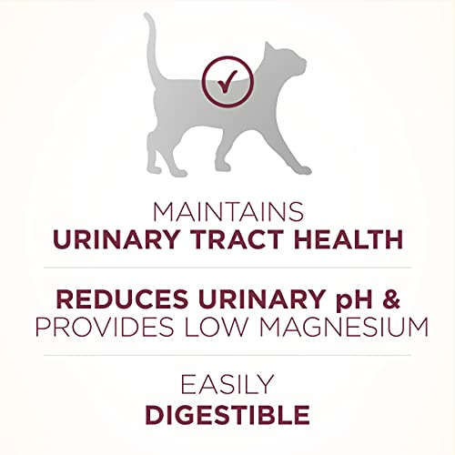 Purina ONE High Protein Dry Cat Food, Urinary Health - Image 4