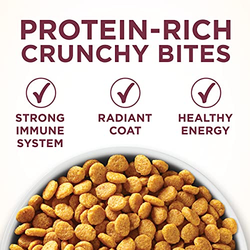 Purina ONE High Protein Dry Cat Food, Urinary Health - Image 2