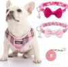 PUPTECK Soft Mesh Dog Harness Leash Set