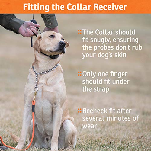 SportDOG SportHunter 825X Dog Training Shock Collar - Image 5