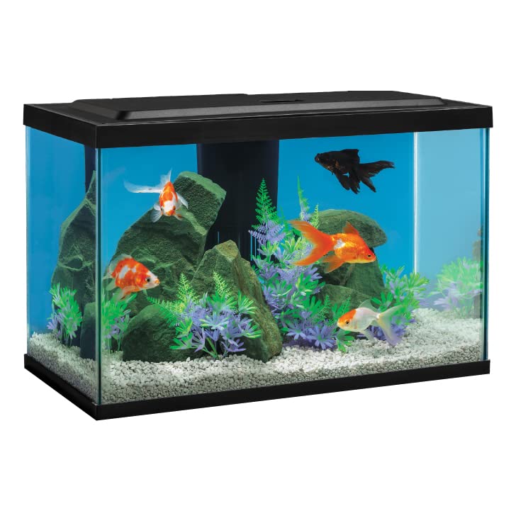 Tetra Goldfish Aquarium Kit with LED Lighting - Image 3