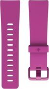 Fitbit Versa Classic Accessory Band