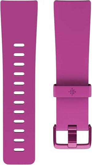 Fitbit Versa Classic Accessory Band