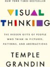 Visual Thinking: Hidden Gifts Of Visual Thinkers