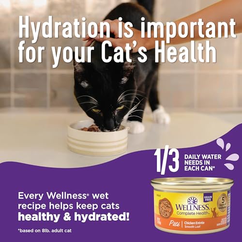 Wellness Complete Health Grain Free Chicken Pate - Image 4
