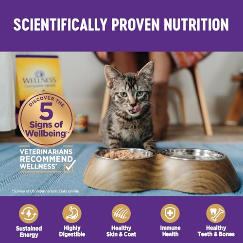 Wellness Complete Health Grain Free Chicken Pate - Image 5