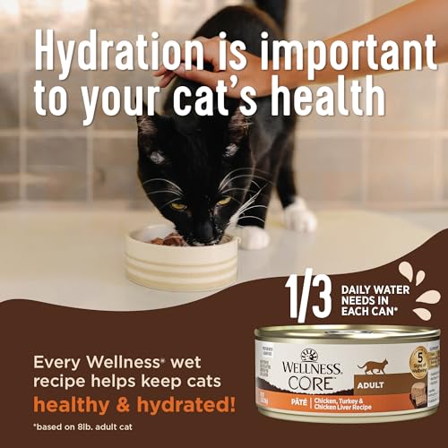 Wellness Digestive Health Grain-Free Wet Cat Food - Image 4