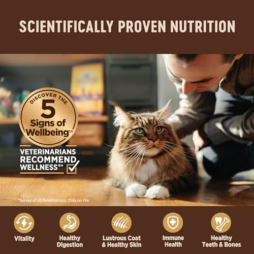 Wellness Digestive Health Grain-Free Wet Cat Food - Image 5