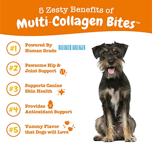 Zesty Paws Multi Collagen Soft Chews For Dogs - Image 2