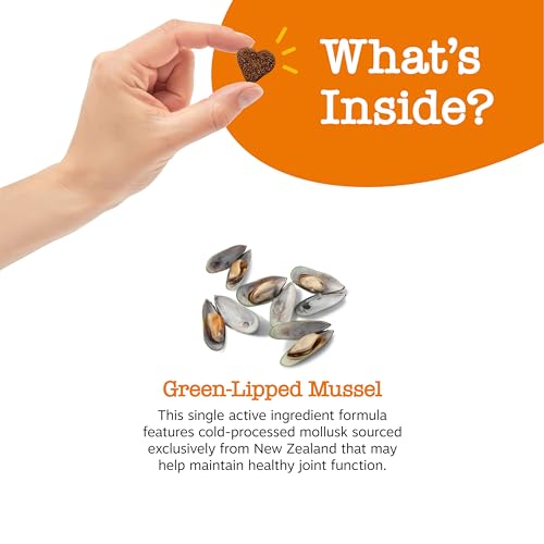Zesty Paws Mussel Mobility Bites - Hip & Joint Support - Image 4