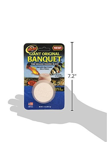 Zoo Med Giant Banquet Block Feeder, 2-Count - Image 3