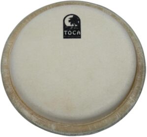 Toca 10″ Conga Head TP-20110