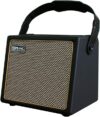 COOLMUSIC 30 Watt Portable Acoustic Guitar Amp