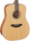 Takamine 6 String Acoustic Guitar, Natural (GD20-NS)