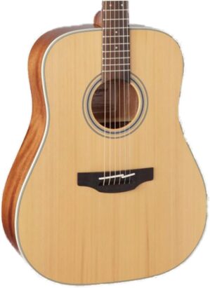 Takamine 6 String Acoustic Guitar, Natural (GD20-NS)