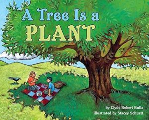 A Tree Is A Plant By Clyde Robert Bulla