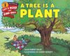 A Tree Is A Plant By Clyde Robert Bulla