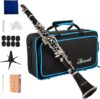 AISIWEIER B-Flat Clarinet For Student Beginners