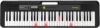 Casio Casiotone LK-S250 Portable Keyboard