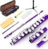EASTROCK Closed Hole Flute C 16 Key Purple