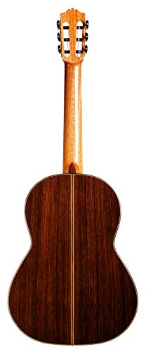 Cordoba C10 Parlor Acoustic Nylon Guitar - Image 3