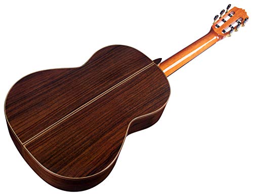 Cordoba C10 Parlor Acoustic Nylon Guitar - Image 5