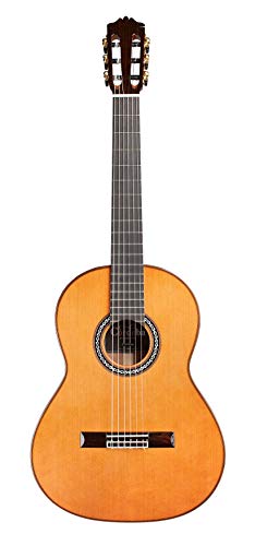 Cordoba C10 Parlor Acoustic Nylon Guitar - Image 2