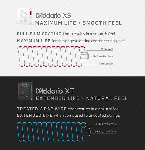 D'Addario XS Phosphor Bronze Coated Acoustic Strings XSAPB1356-B25 - Image 5