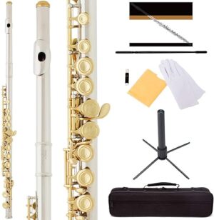 Mendini by Cecilio Flutes – Closed Hole C Flute For Beginners