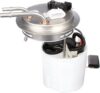 Delphi Fuel Module FG1055