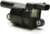 Delphi Ignition Coil GN10165