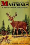 Mammals: Guide To Familiar American Species