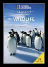 National Geographic Wildlife Collection