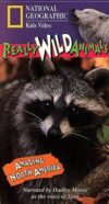 National Geographic’s Really Wild Animals: Amazing North America [VHS]