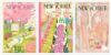 DFAIUY New Yorker Magazine Canvas Wall Art By Author’s Name