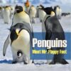 Penguins – Meet Mr. Flappy Feet: Penguin Books For Kids By Author’s Name