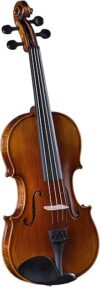 Cremona Premier Artist Viola Outfit – 16