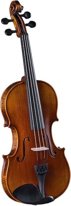 Cremona Premier Artist Viola Outfit - 16