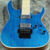 Ibanez Prestige Electric Guitar Frozen Ocean RG5120M