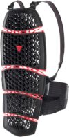 Dainese Pro Armor 2.0 Long Back Protector