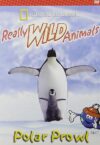 Really Wild Animals: Polar Prowl by National Geographic