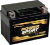 ExpertPower Replacement 12V3AH WPX4L-BS Sealed AGM Battery