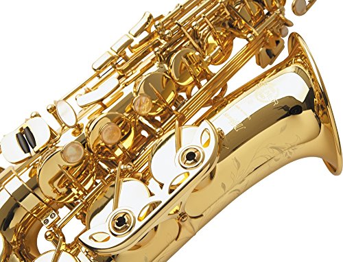 SELMER Alto Saxophone, Gold (62J) - Image 3