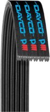 Dayco Serpentine Belt 5061005, Black