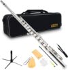 Jinqu Student C Flute 16 Closed Hole Set