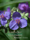 Symphony To Flowers By Author’s Name