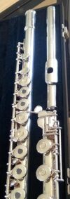 Gemeinhardt The product title “Gemeinhardt 3SB Flute” is already less than seven words, so no changes are needed