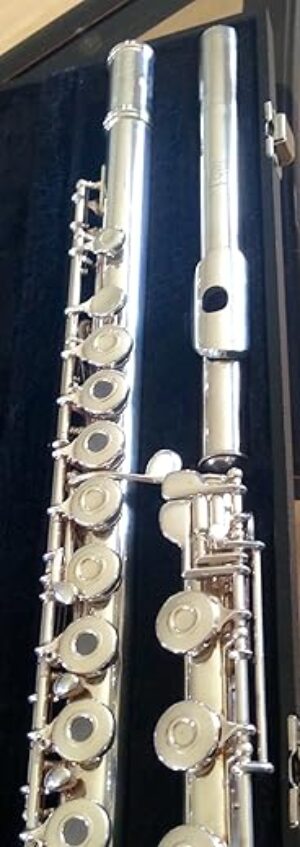 Gemeinhardt The product title “Gemeinhardt 3SB Flute” is already less than seven words, so no changes are needed