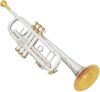 Bach Trumpet-Standard, Silver (180S37)