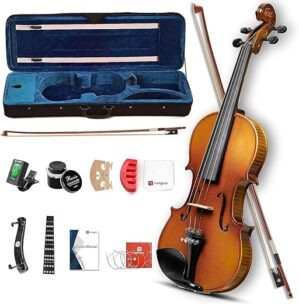 Vangoa Violin Starter Kit With Premium Ebony Fittings